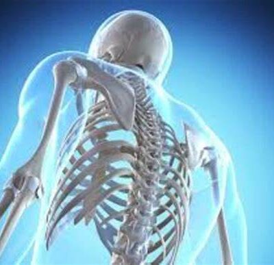 BONES HEALTH