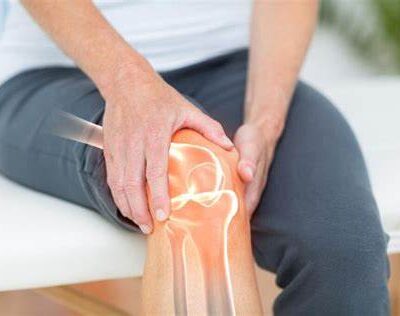 JOINTS & CARTILAGES